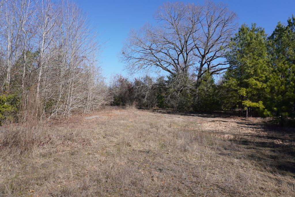 000 County Road 3600, Hawkins, Texas image 15