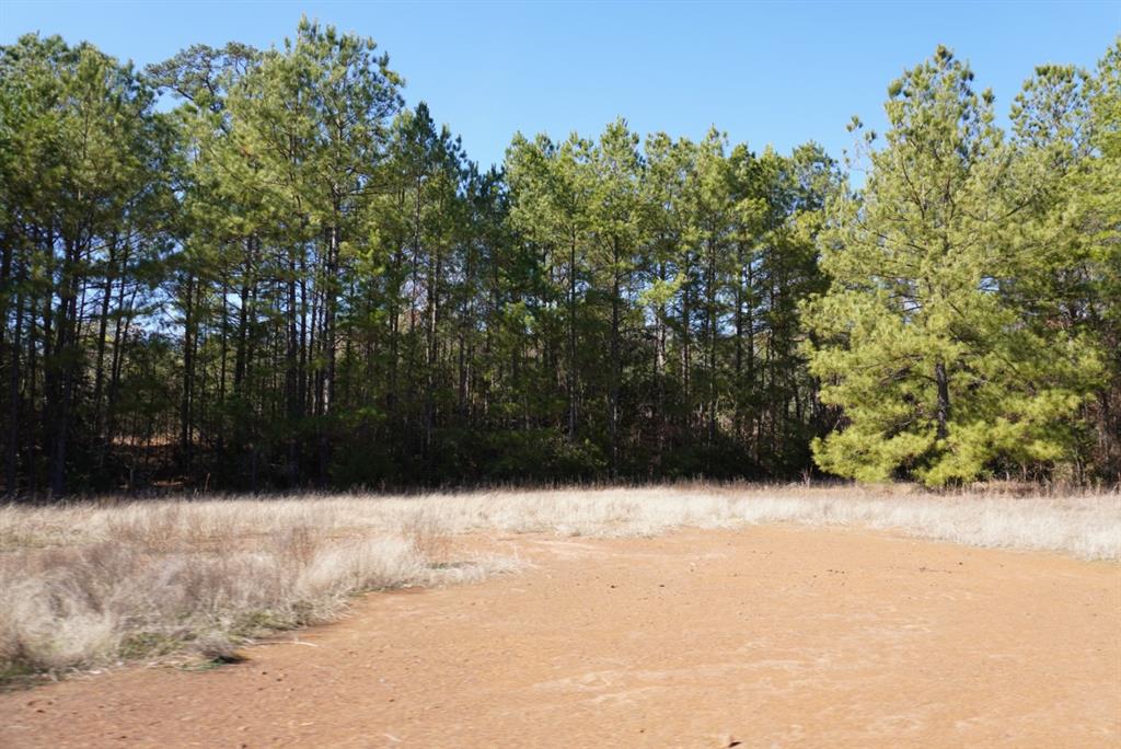 000 County Road 3600, Hawkins, Texas image 8