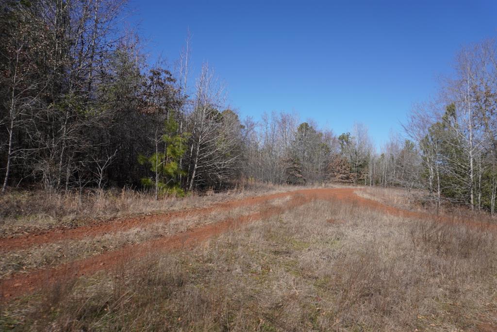 000 County Road 3600, Hawkins, Texas image 36