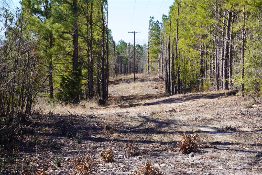 000 County Road 3600, Hawkins, Texas image 31