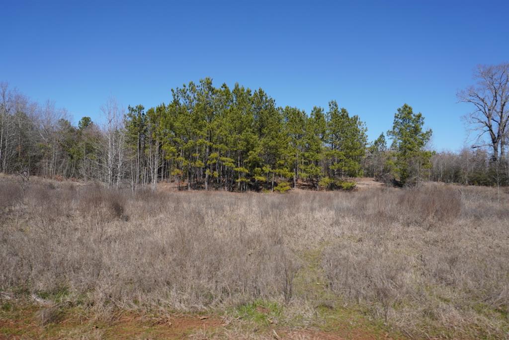 000 County Road 3600, Hawkins, Texas image 7