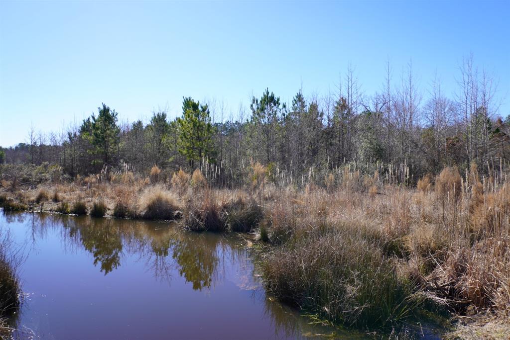 000 County Road 3600, Hawkins, Texas image 24