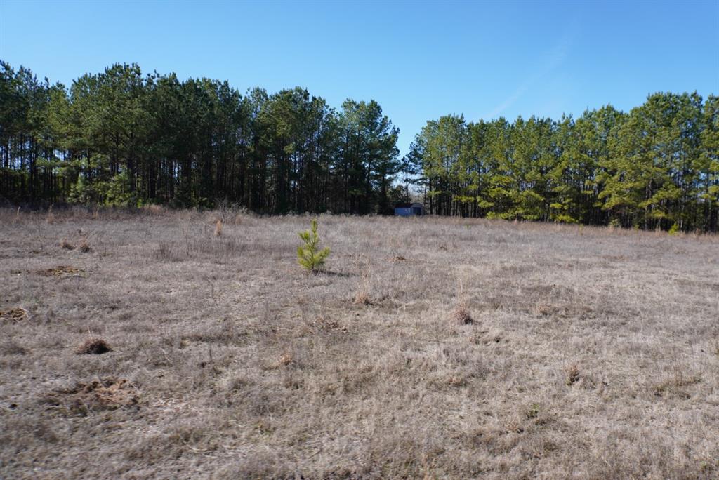 000 County Road 3600, Hawkins, Texas image 18