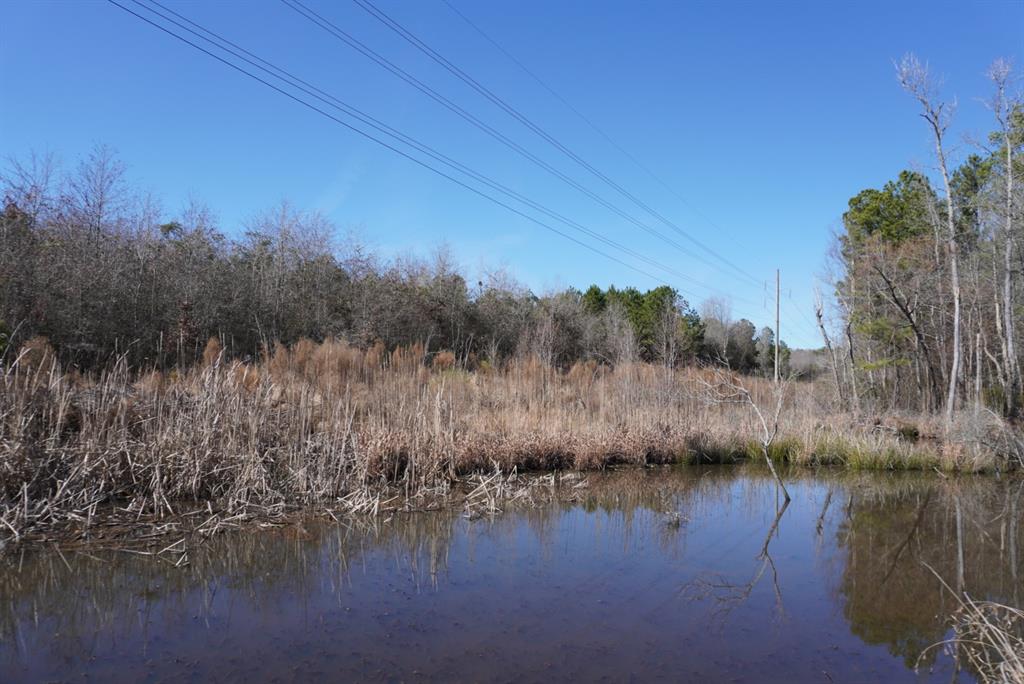 000 County Road 3600, Hawkins, Texas image 10