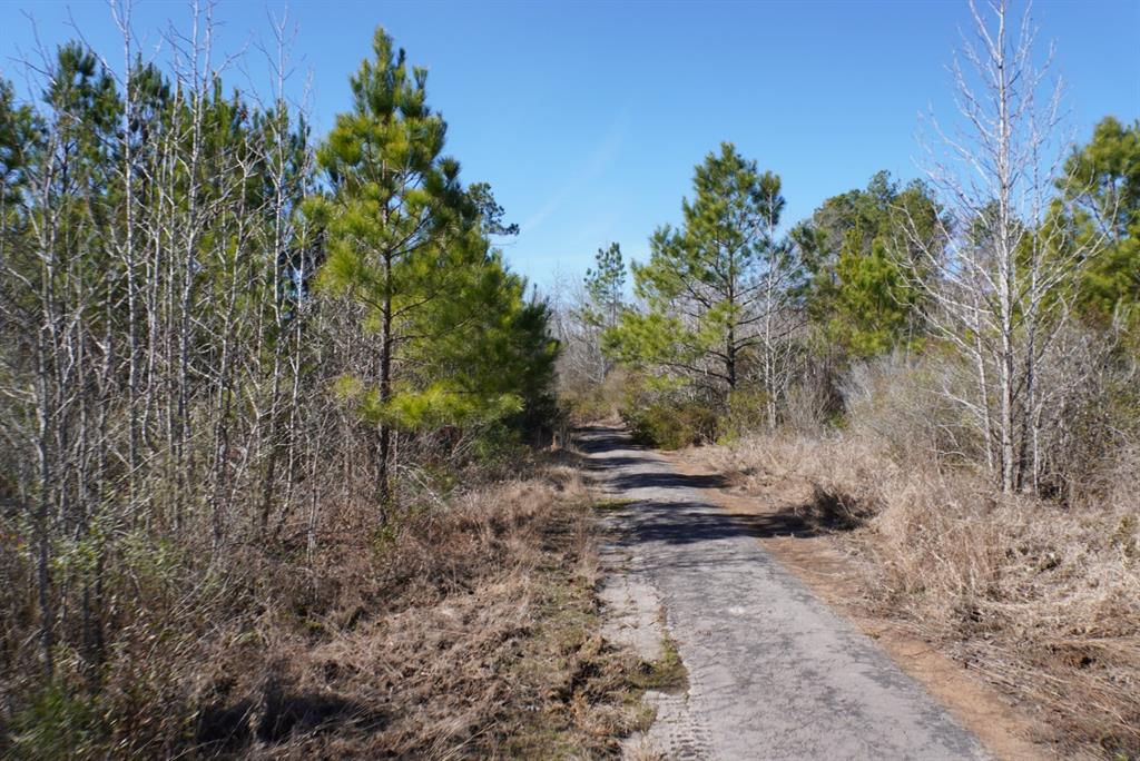 000 County Road 3600, Hawkins, Texas image 22