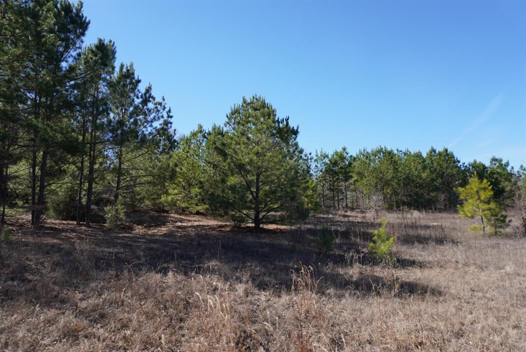 000 County Road 3600, Hawkins, Texas image 34