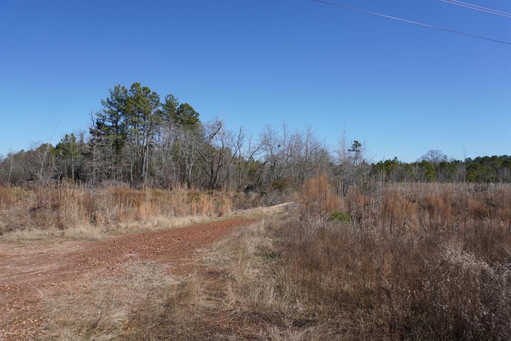 000 County Road 3600, Hawkins, Texas image 27