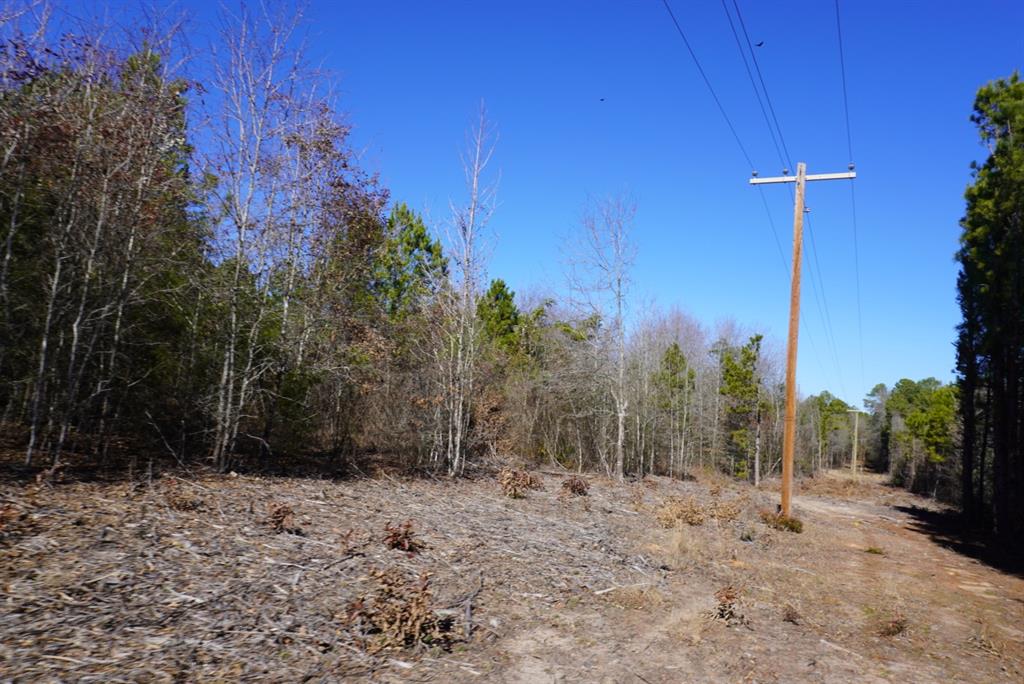 000 County Road 3600, Hawkins, Texas image 33