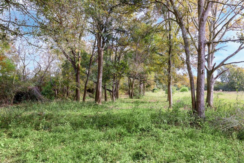 17330 Penick Road, Waller, Texas image 14