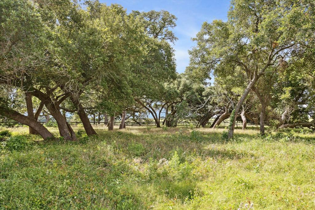 104 Hartfield Hill Lane, Round Top, Texas image 27