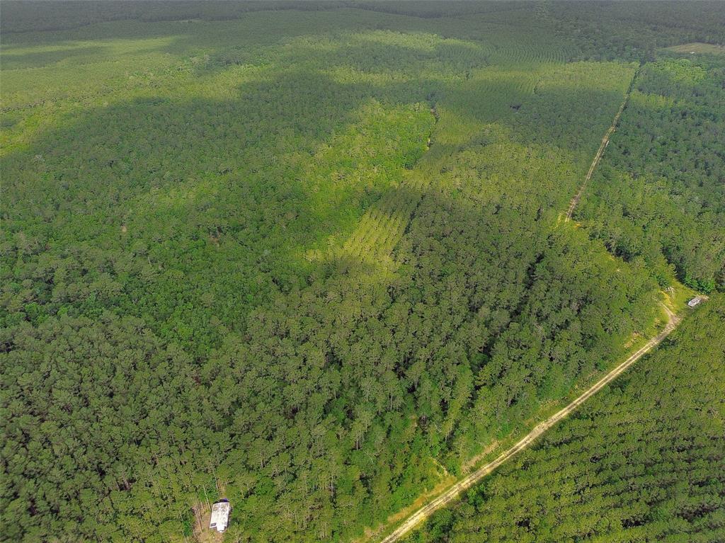 Gates Rd, Daisetta, Texas image 10