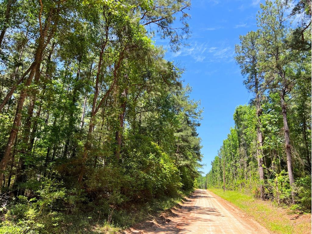 000 Morris Lane, Livingston, Texas image 9