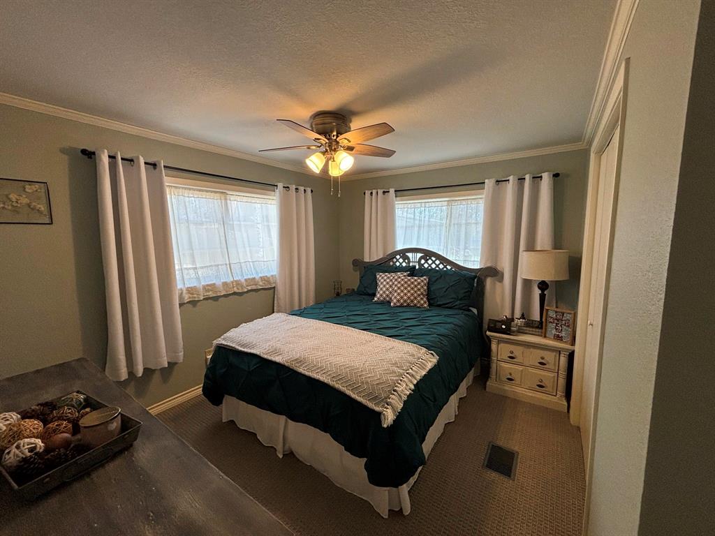 3096 Renee Drive, Chandler, Texas image 11