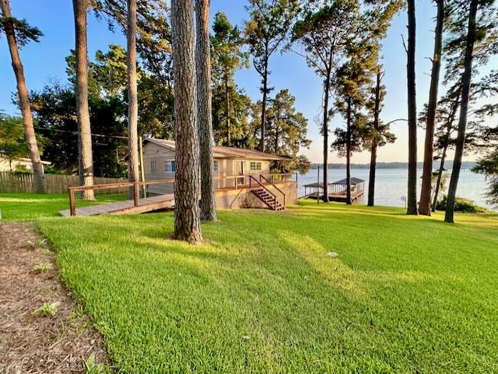 3096 Renee Drive, Chandler, Texas image 1
