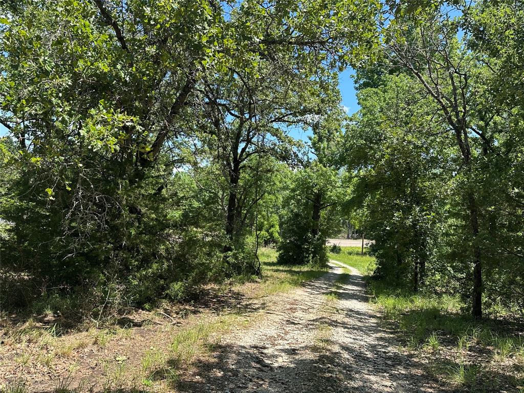 9488 Us Highway 79, Buffalo, Texas image 42