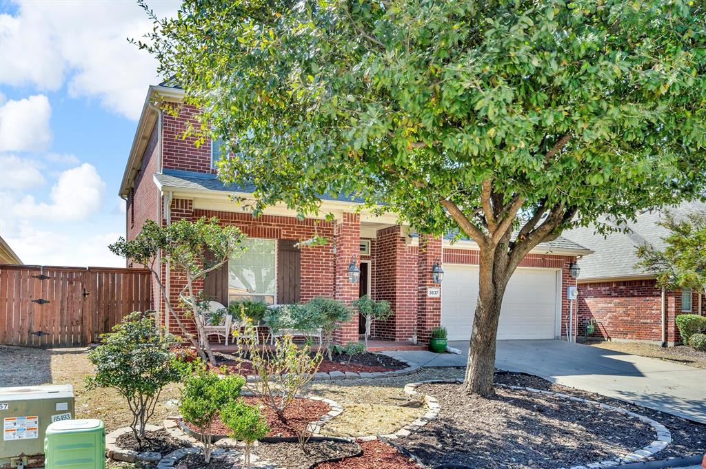 3537 Navarro Way, Frisco, Texas image 3