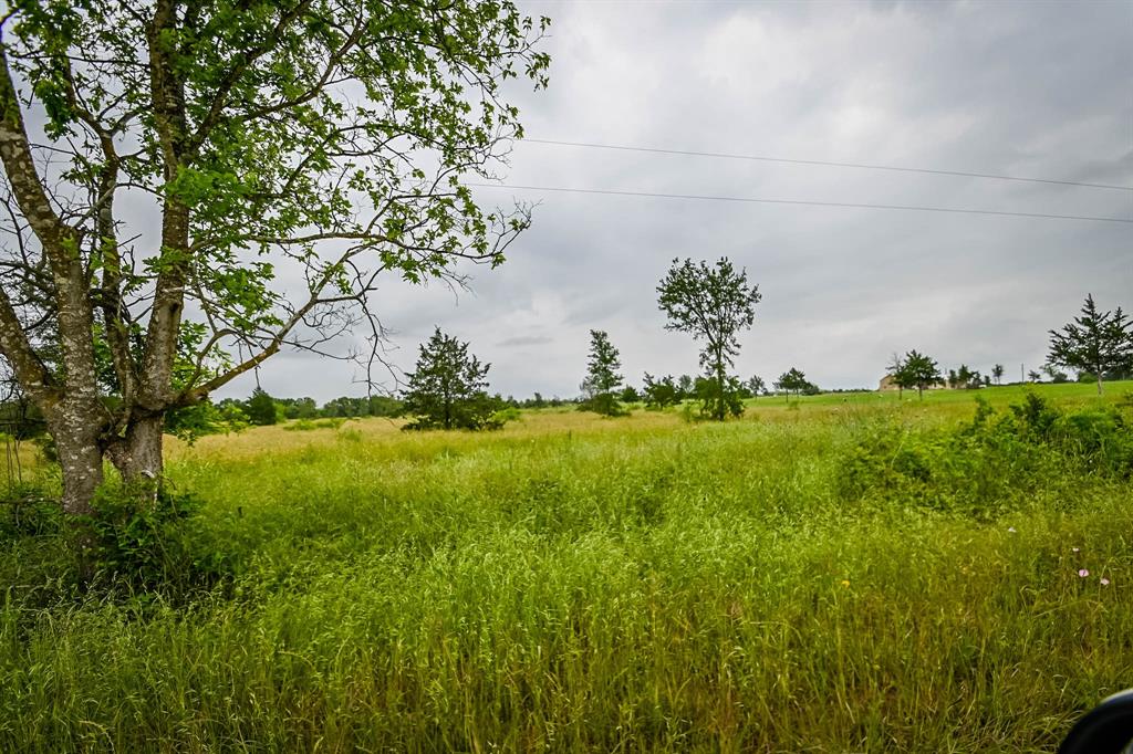 0000 County Road 451 Lot 5, Waelder, Texas image 6