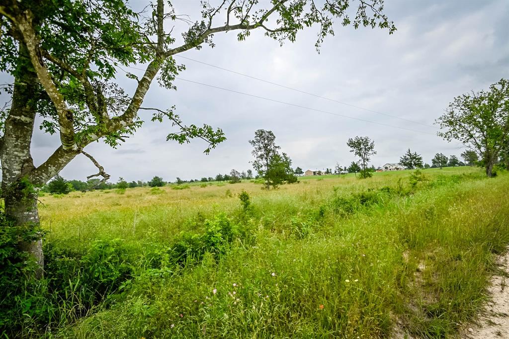 0000 County Road 451 Lot 5, Waelder, Texas image 5