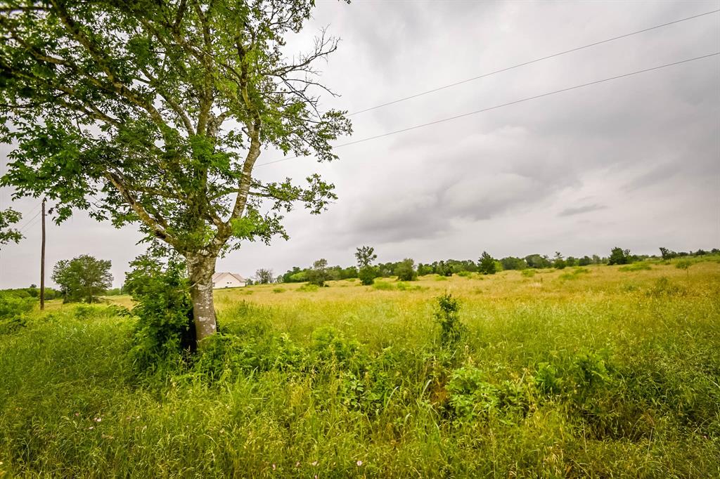 0000 County Road 451 Lot 5, Waelder, Texas image 1