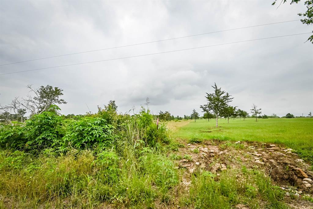 0000 County Road 451 Lot 5, Waelder, Texas image 8