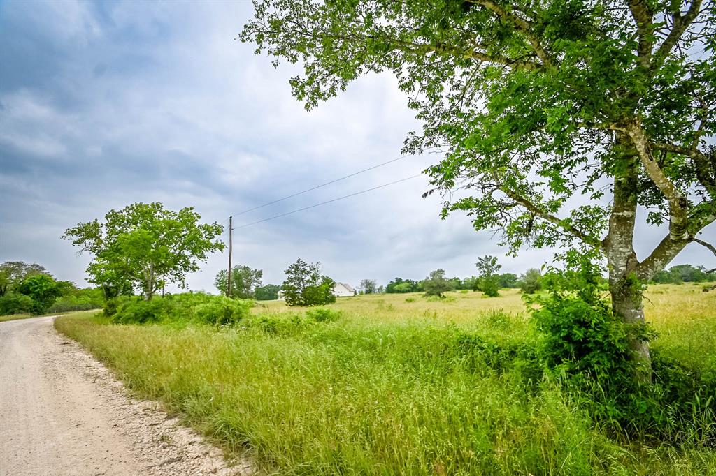 0000 County Road 451 Lot 5, Waelder, Texas image 3