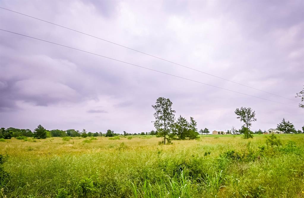 0000 County Road 451 Lot 5, Waelder, Texas image 2