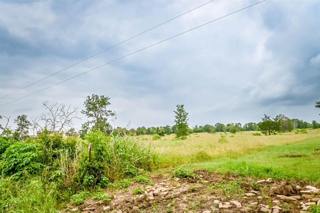 0000 County Road 451 Lot 5, Waelder, Texas image 15