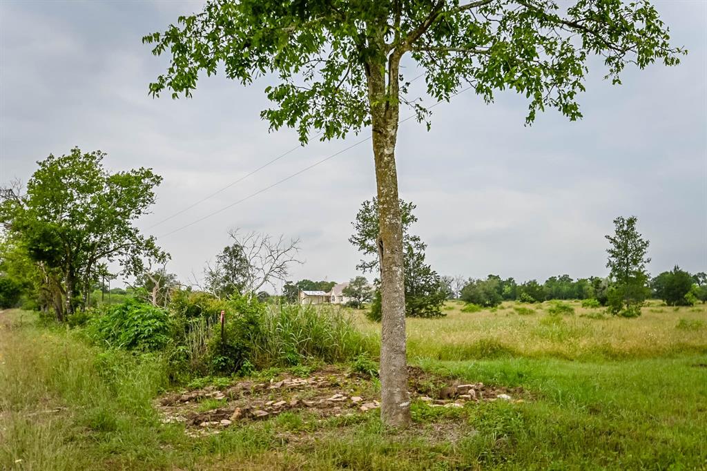 0000 County Road 451 Lot 5, Waelder, Texas image 12