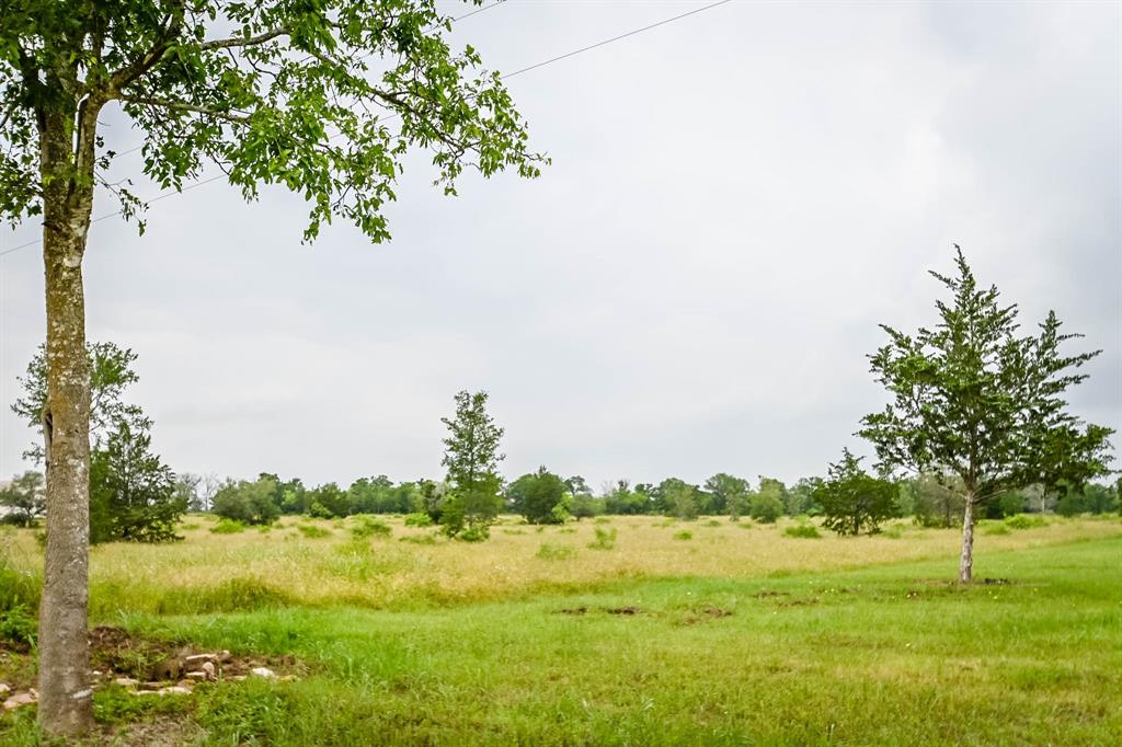 0000 County Road 451 Lot 5, Waelder, Texas image 13