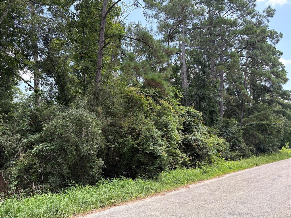 17333 Shadow Lane