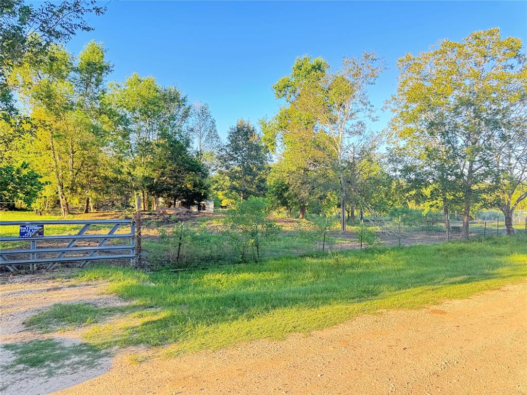 211 Pecan Drive, Goodrich, Texas image 3