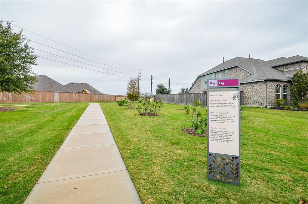 23734 Daintree Place, Katy, Texas image 3