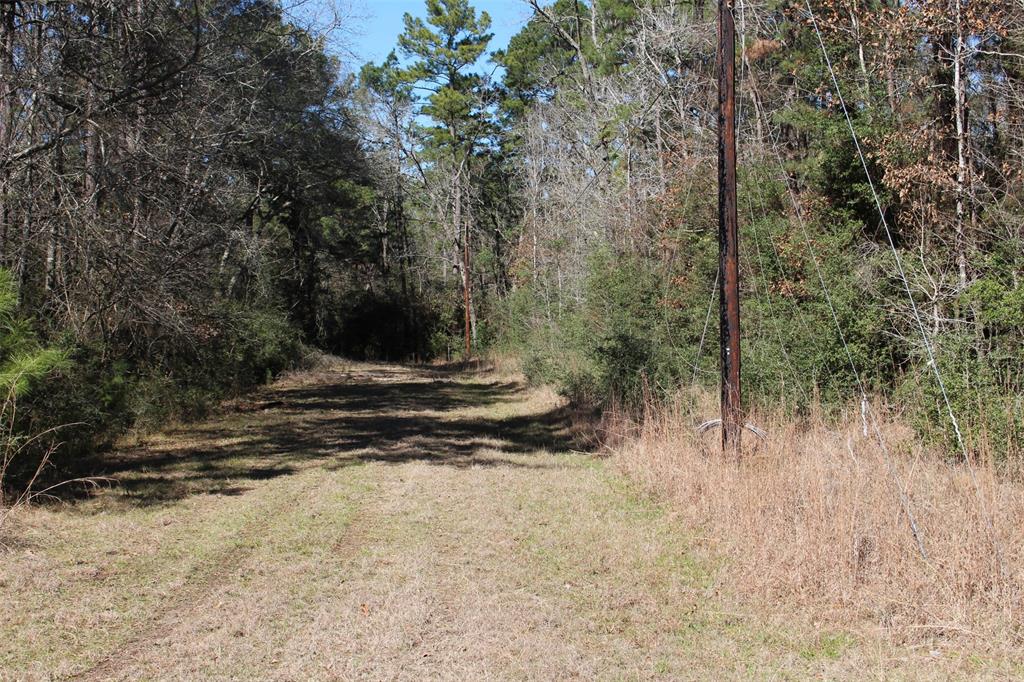 Lot 25 Cessna Court, Trinity, Texas image 3