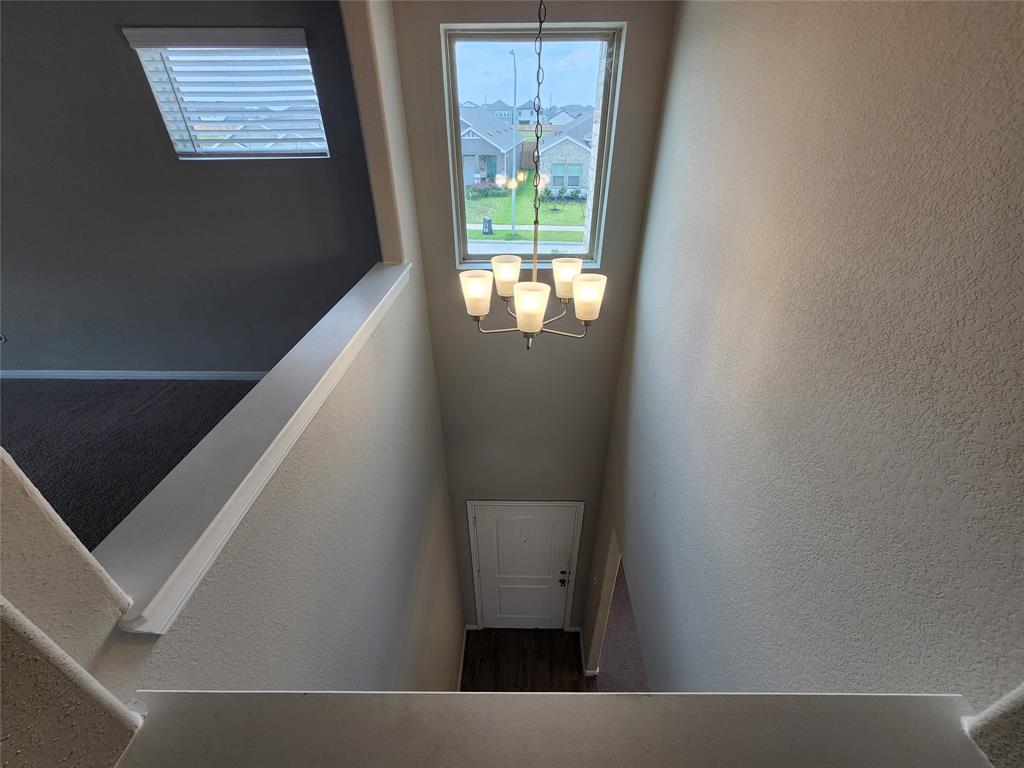 7914 Cypress Myrtle Drive, Cypress, Texas image 19