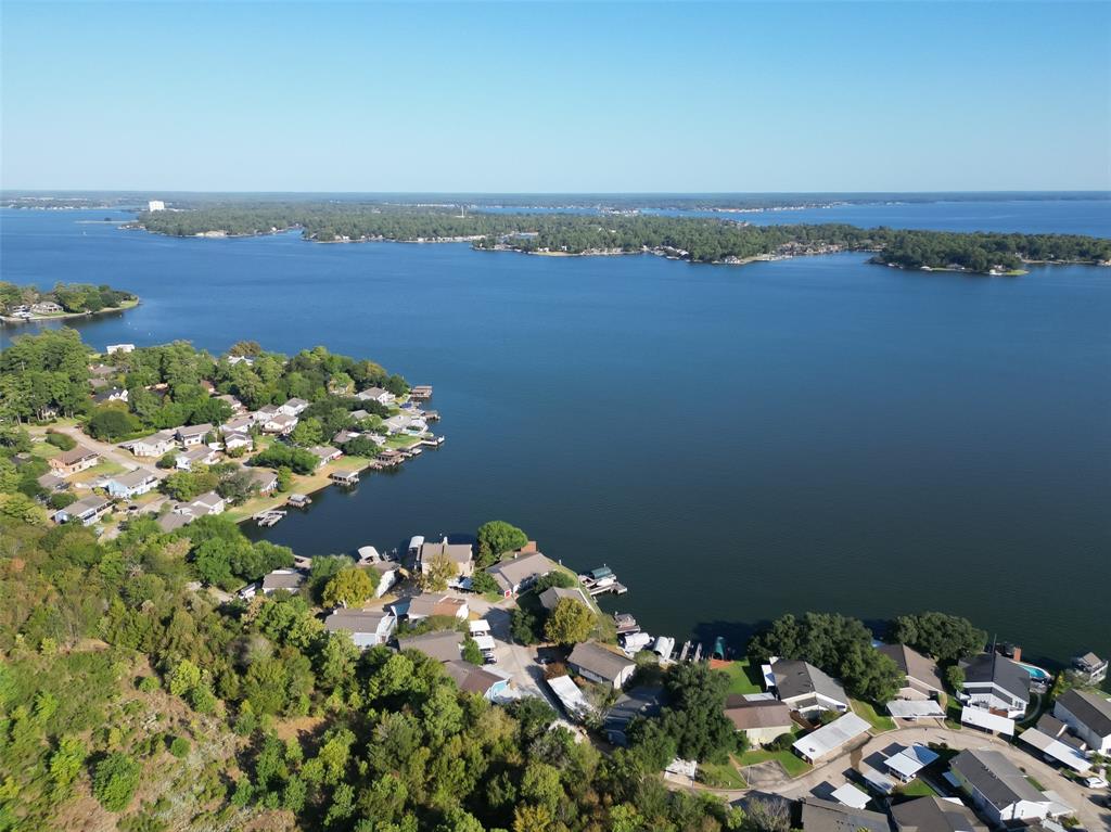 88 Lakeview Village, Conroe, Texas image 1