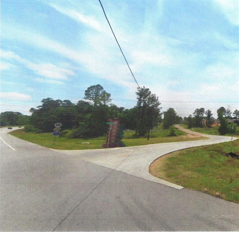 Old Highway 75, Willis, Texas image 8