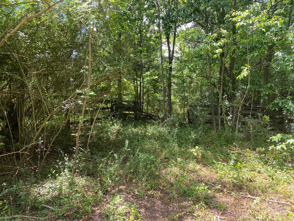 4343 Fm 229, Crockett, Texas image 29