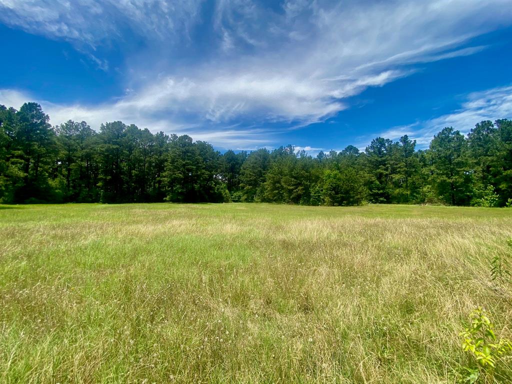 4343 Fm 229, Crockett, Texas image 23