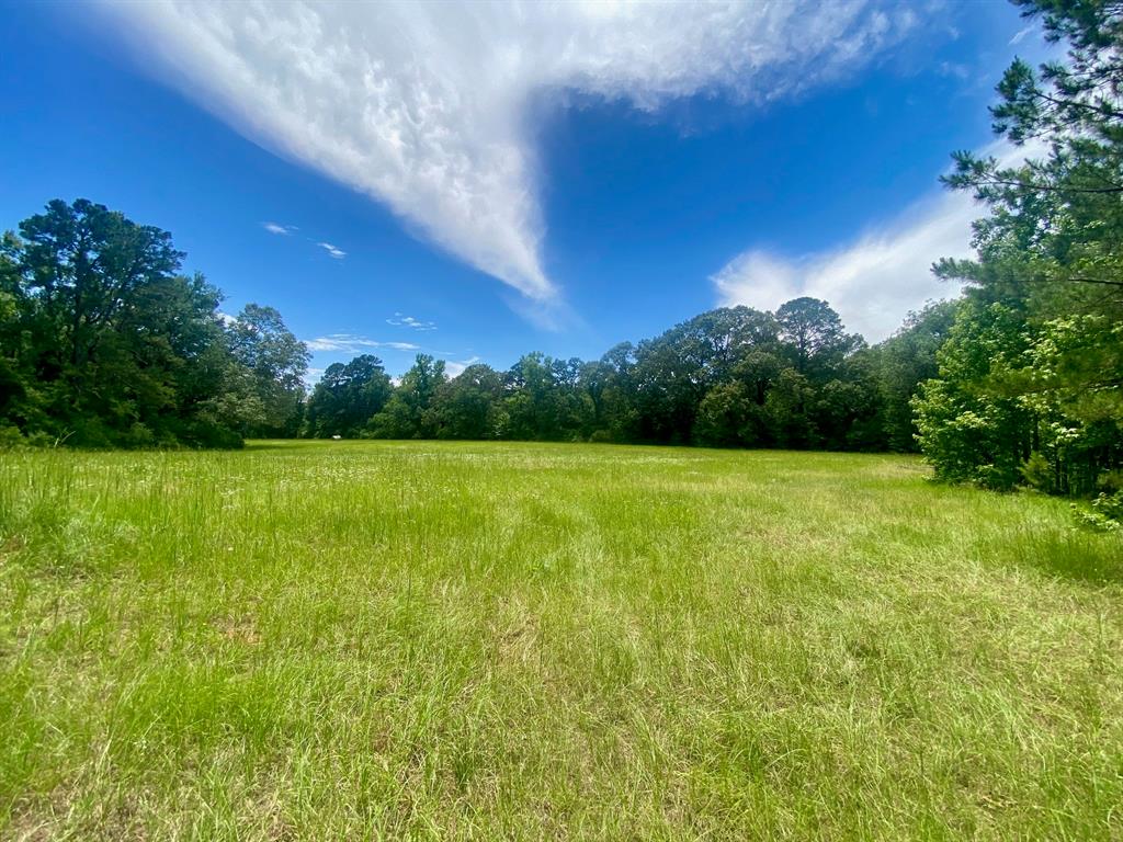 4343 Fm 229, Crockett, Texas image 25
