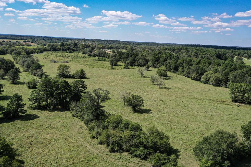 134 Acres Fm 1374, Huntsville, Texas image 18