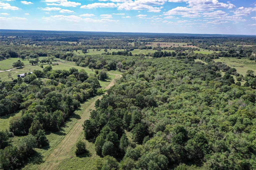 134 Acres Fm 1374, Huntsville, Texas image 31