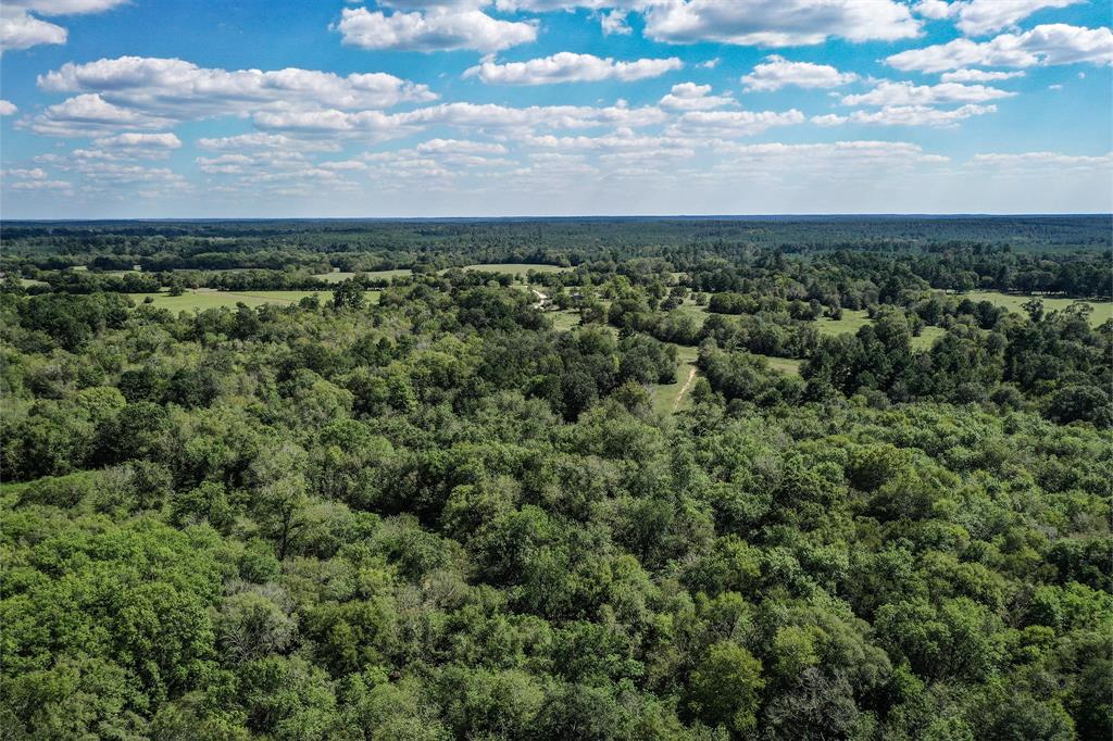 134 Acres Fm 1374, Huntsville, Texas image 24