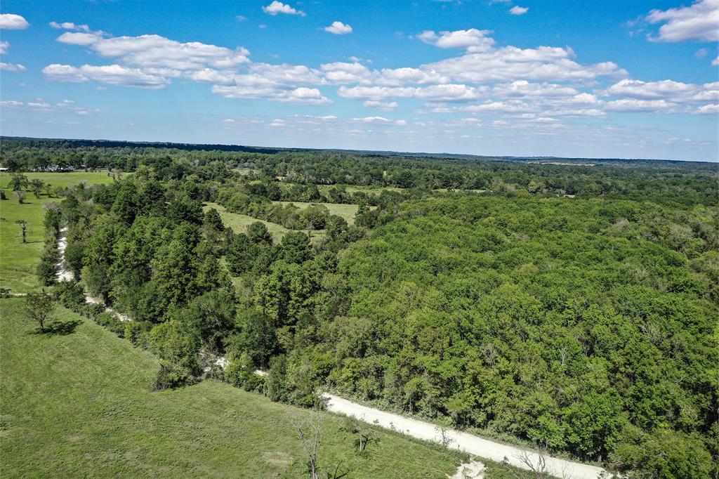 134 Acres Fm 1374, Huntsville, Texas image 17