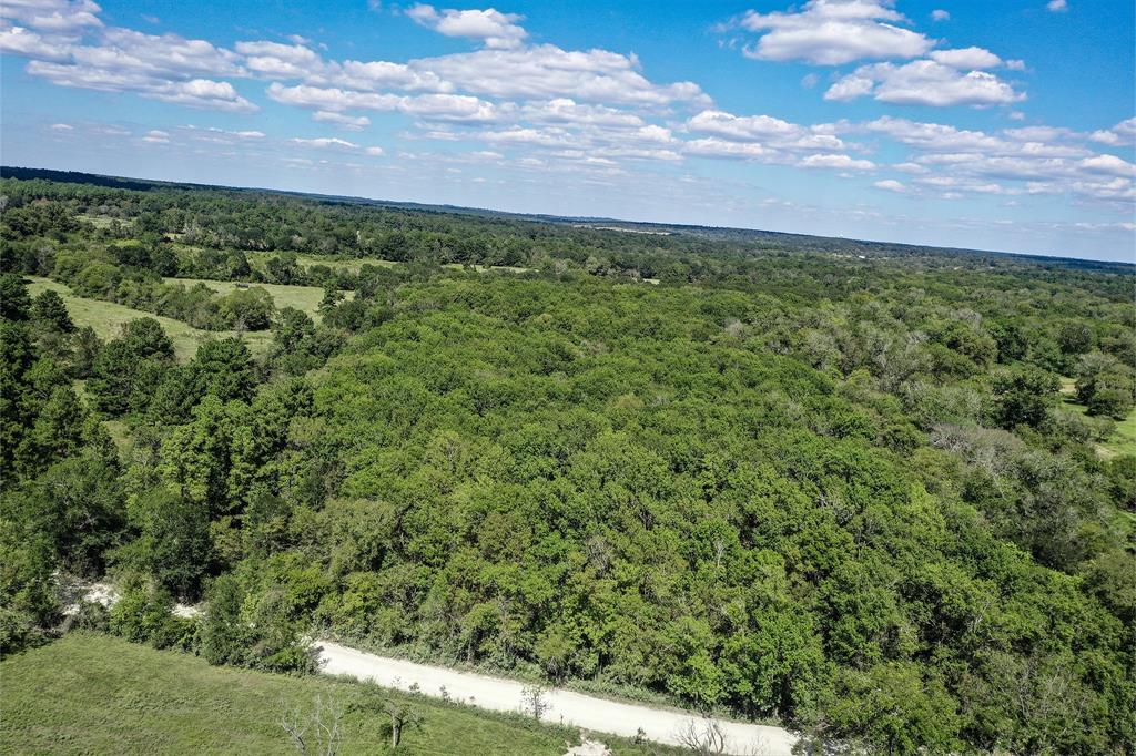 134 Acres Fm 1374, Huntsville, Texas image 15