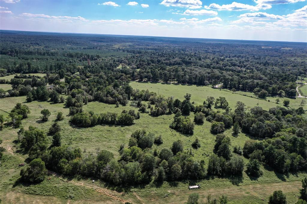 134 Acres Fm 1374, Huntsville, Texas image 29