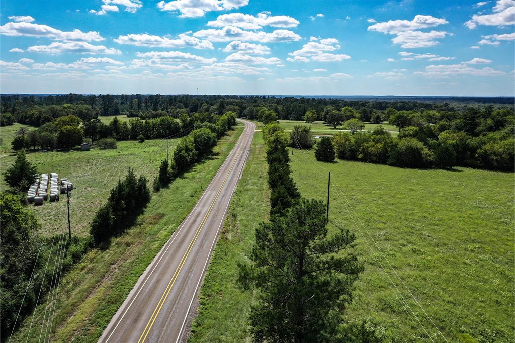 134 Acres Fm 1374, Huntsville, Texas image 3