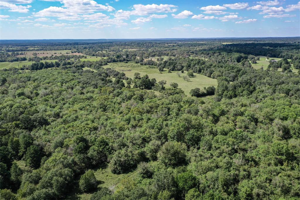 134 Acres Fm 1374, Huntsville, Texas image 32