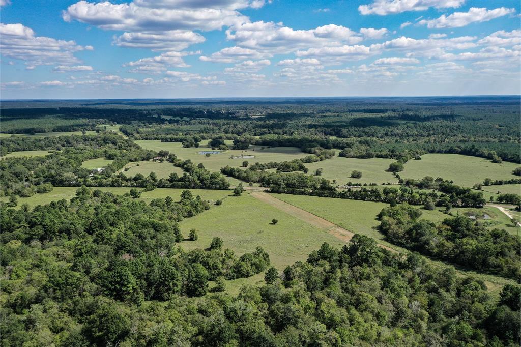 134 Acres Fm 1374, Huntsville, Texas image 27