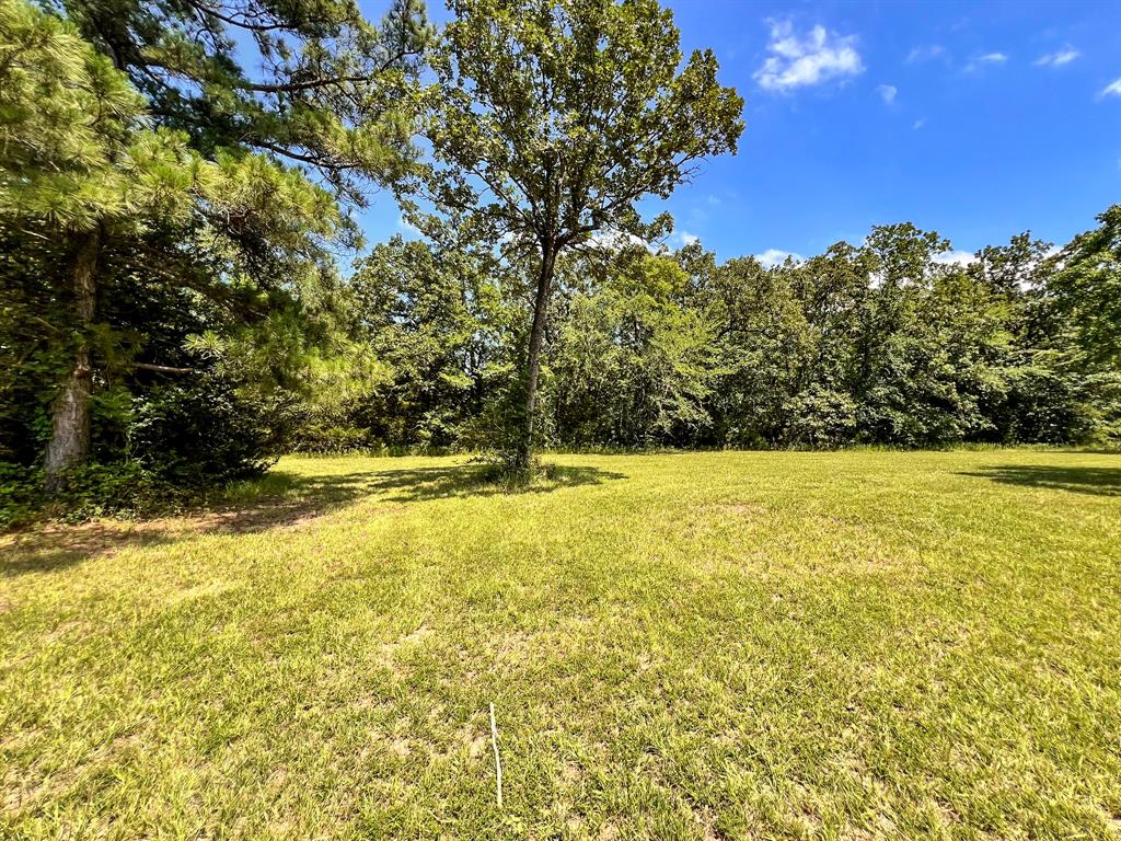 13381 Forest Ln