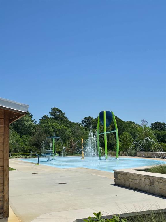 1319 Pleasant Springs Court, Montgomery, Texas image 45